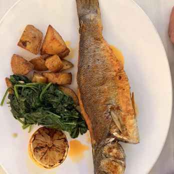 ELIA - Greek Near Me - Walnut Creek, California