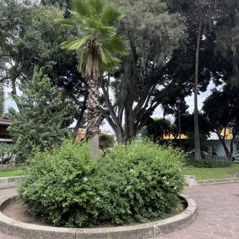 Jardín Conzatti - Parks Near Me - Oaxaca, OAX