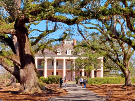 Gators and Ghosts: New Orleans Tours by null