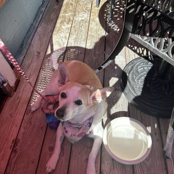 Nelscott Breakfast House - Pet friendly! - Breakfast & Brunch Near Me - Lincoln City, Oregon Nelscott Breakfast House - Pet friendly! - Breakfast & Brunch Near Me - Lincoln City, Oregon