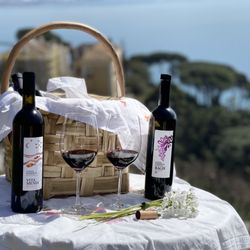 Le Vigne di Raito