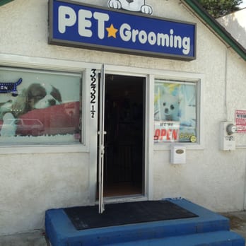 Petstar Grooming - Picture of location - Pet Groomers Near Me - La Crescenta, California Petstar Grooming - Picture of location - Pet Groomers Near Me - La Crescenta, California