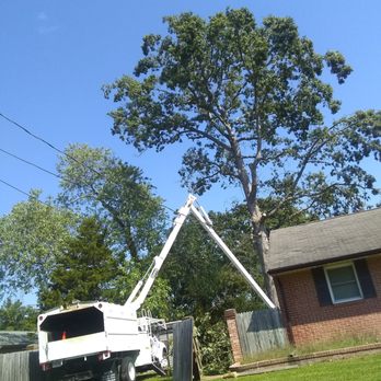 Alvarez tree service - Tree Services Near Me Alvarez tree service - Tree Services Near Me