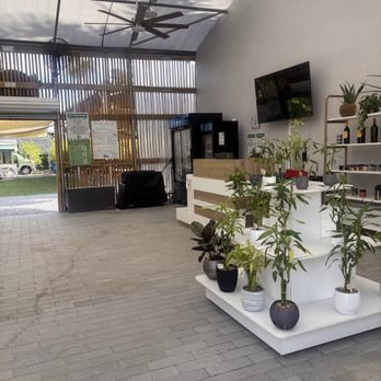 The Bamboo Grove - Nurseries & Gardening Near Me - Davie, Florida The Bamboo Grove - Nurseries & Gardening Near Me - Davie, Florida