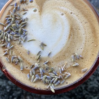 un caffe altamura - Lavender latte - Cafes Near Me - Manhattan Beach, California un caffe altamura - Lavender latte - Cafes Near Me - Manhattan Beach, California