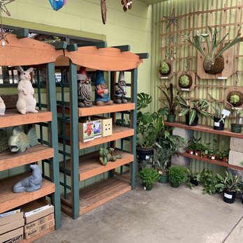The Garden - a room full of plants and pots - Nurseries & Gardening Near Me - Santa Cruz, California