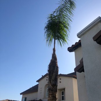 Ever Green Landscaping - Landscaping Near Me - San Diego, California Ever Green Landscaping - Landscaping Near Me - San Diego, California