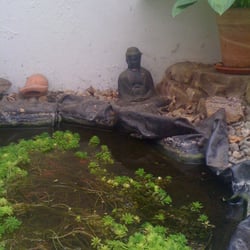 Café Lotus