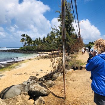 Laniakea Beach - Walkway to get down to the beach. - Beaches Near Me - Haleiwa, Hawaii Laniakea Beach - Walkway to get down to the beach. - Beaches Near Me - Haleiwa, Hawaii