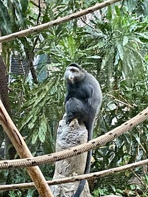 Pittsburgh Zoo & Aquarium by null