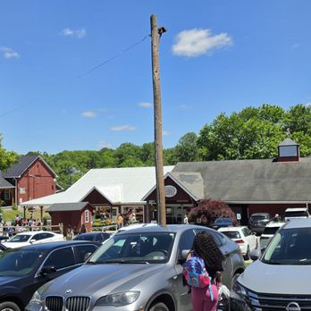 Weber's Farm - Bakeries Near Me - Parkville, Maryland Weber's Farm - Bakeries Near Me - Parkville, Maryland