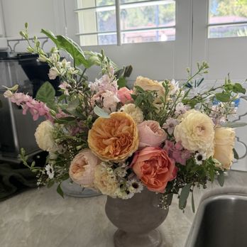 Kittybird Blooms - Gift Shops Near Me - Calabasas, California Kittybird Blooms - Gift Shops Near Me - Calabasas, California