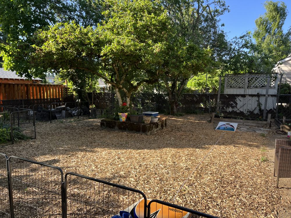 Little Explorers Early Education - childcare center in Portland, OR