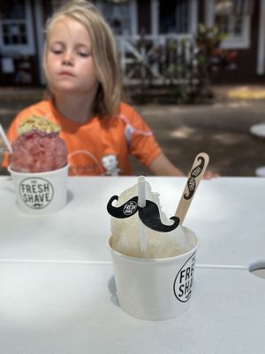 The Fresh Shave by null