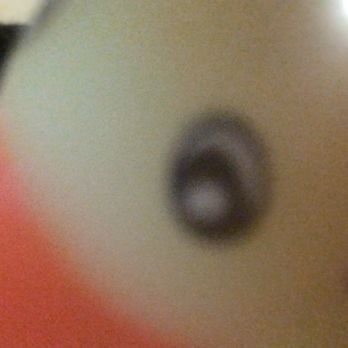 McDonald's - This picture of the duck is haunting me it was on the wall! - Fast Food Near Me - Reno, Nevada