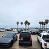 Ocean Beach Dog Beach gift card