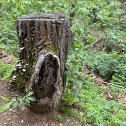 Seven Bends State Park