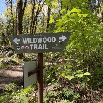 Wildwood Trail - Hiking Near Me - Portland, Oregon Wildwood Trail - Hiking Near Me - Portland, Oregon