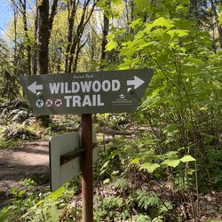 Wildwood Trail