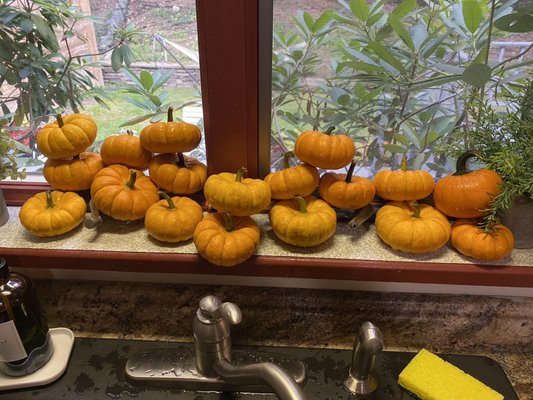 Clarke's Family Farm by null