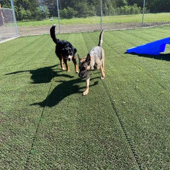 Hidden Acres Dog Resort - Pet Training Near Me - Mulvane, Kansas Hidden Acres Dog Resort - Pet Training Near Me - Mulvane, Kansas