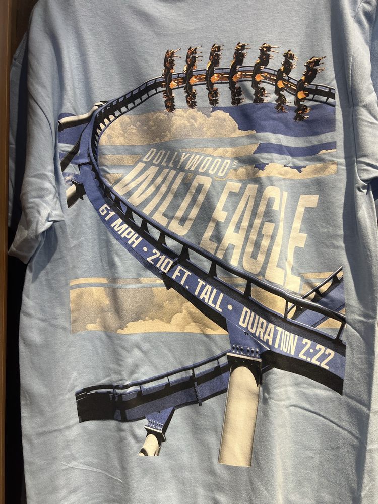 Wild Eagle Logo