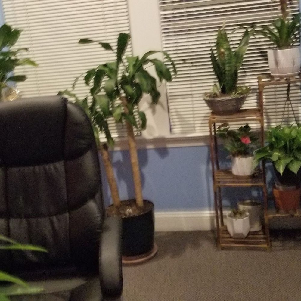 Oasis Spa - 11/5/22 - Massage Near Me - Annandale, Virginia Oasis Spa - 11/5/22 - Massage Near Me - Annandale, Virginia