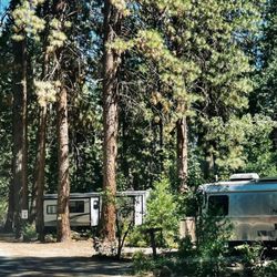 Neighbors RV Village