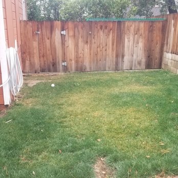 Ed's Landscaping - Just about six months after sod was installed. Back corner I found the sprinkler buried too deep. - Landscape Architects or Designers Near Me