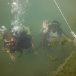 Dive Tech Scuba Lessons & Gear - Diving in Mammoth Lake