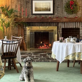 Deerhill Inn - Josie! - Bed & Breakfast Near Me - West Dover, Vermont
