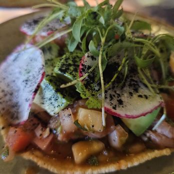 Alejandra's Mexican Cantina - Fish ceviche tostada - Mexican Near Me - Carlsbad, California Alejandra's Mexican Cantina - Fish ceviche tostada - Mexican Near Me - Carlsbad, California