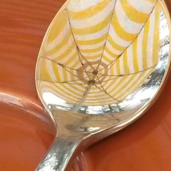 Manly Wine - Brolly reflection in a teaspoon - Wine Bars Near Me - Manly, NSW Manly Wine - Brolly reflection in a teaspoon - Wine Bars Near Me - Manly, NSW