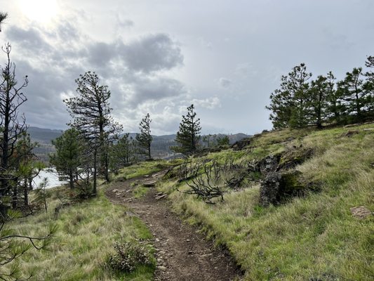 Coyote Wall Trailhead by null