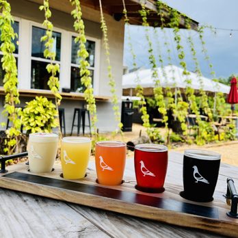 Eavesdrop Brewery - a flight of beers on a tray - Breweries Near Me - Manassas, Virginia Eavesdrop Brewery - a flight of beers on a tray - Breweries Near Me - Manassas, Virginia