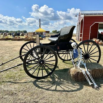 Ruby Creek Family Farm - Carriage - Attraction Farms Near Me - Aurora, Texas Ruby Creek Family Farm - Carriage - Attraction Farms Near Me - Aurora, Texas
