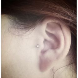 Nirvana Piercing - Tragus done by Laura