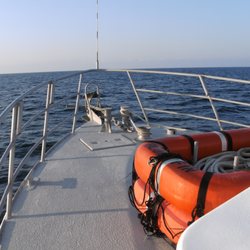 Independent Diver