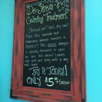 Bark Place Grooming - Specials. - Pet Groomers Near Me - Las Vegas, Nevada