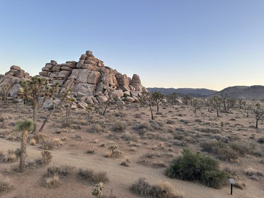 Sheep Pass Campground by null
