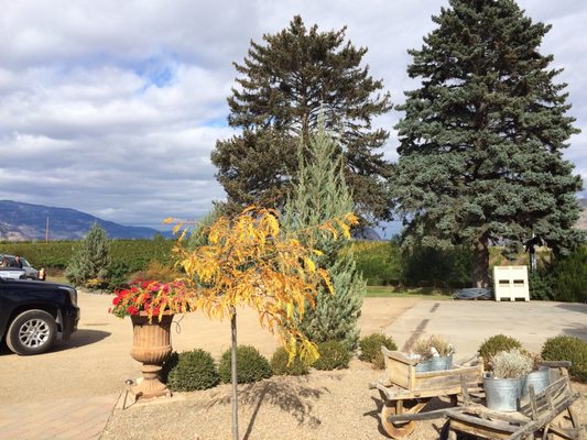 La Stella Winery by null