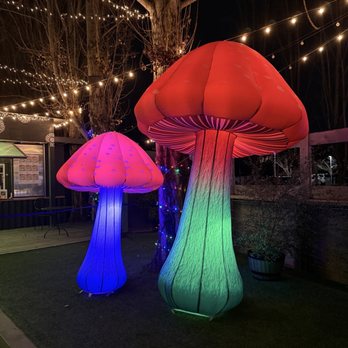 Napa Yard - Restaurants Near Me - Napa, California