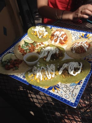 Agave Taco Bar by null