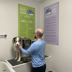 The Green Spot Omaha Gift Greeting Cards Email, Text or Print