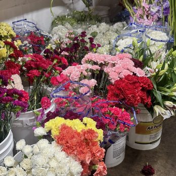 Phoenix Flower Shops - Flowers - Florists Near Me - Phoenix, Arizona Phoenix Flower Shops - Flowers - Florists Near Me - Phoenix, Arizona