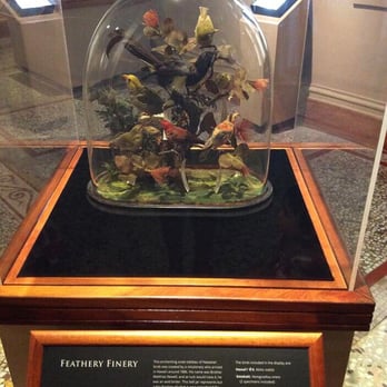 Bishop Museum - Feathery Finery - Museums Near Me - Honolulu, Hawaii