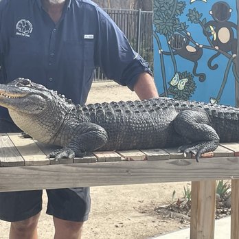 Conservation Ambassadors - Zoo to You - Zoos Near Me - Paso Robles, California Conservation Ambassadors - Zoo to You - Zoos Near Me - Paso Robles, California