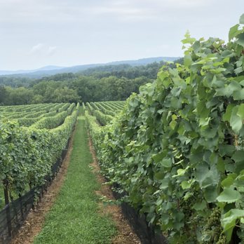 Stone Tower Winery - Photo taken during self-guided tour. - Wineries Near Me - Leesburg, Virginia Stone Tower Winery - Photo taken during self-guided tour. - Wineries Near Me - Leesburg, Virginia