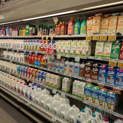 Food Lion - Food Lion, Franklin