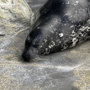 Ocean World - Aquariums Near Me - Crescent City, California